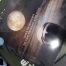 Vinyl record of Echo and Bunnymen